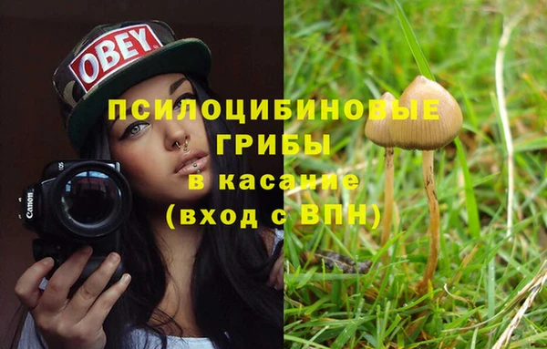 МДМА Горнозаводск