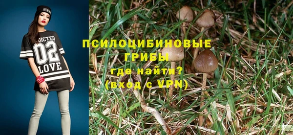 мдпв Горно-Алтайск