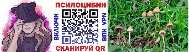 Галлюциногенные грибы Cubensis  МЕГА ссылка  Березники  наркошоп 