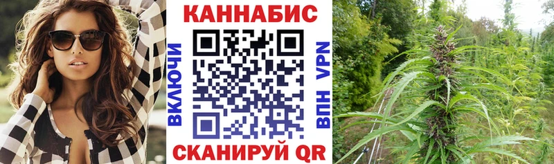 Бошки марихуана сатива  Березники 